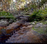 O'Neills Creek picnic reserve - Accommodation Mount Tamborine
