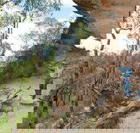 Pilliga National Park - Accommodation Mount Tamborine