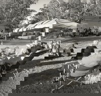 Pioneer Park - Accommodation Mount Tamborine