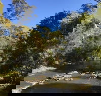 Pipers River Board Walk - Accommodation Mount Tamborine