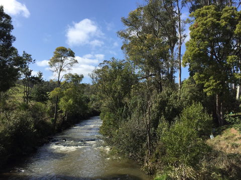 Pipers River Board Walk - Accommodation Mount Tamborine 1