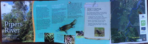 Pipers River Board Walk - Accommodation Mount Tamborine 2