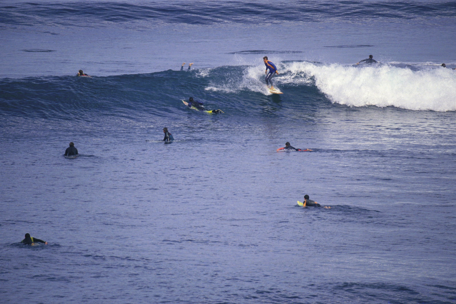 Bells Beach VIC Accommodation Mount Tamborine