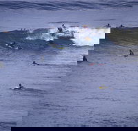 Point Addis Marine National Park - Accommodation Mount Tamborine