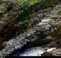 Potoroo Falls walk - Accommodation Mount Tamborine