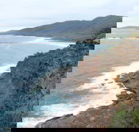 Pretty Beach to Snapper Point Walking Track - Accommodation Mount Tamborine