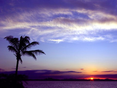 Quoin Island Retreat And Turtle Rehabilitation Centre - Accommodation Mount Tamborine 0