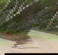 Riverview walking track - Accommodation Mount Tamborine