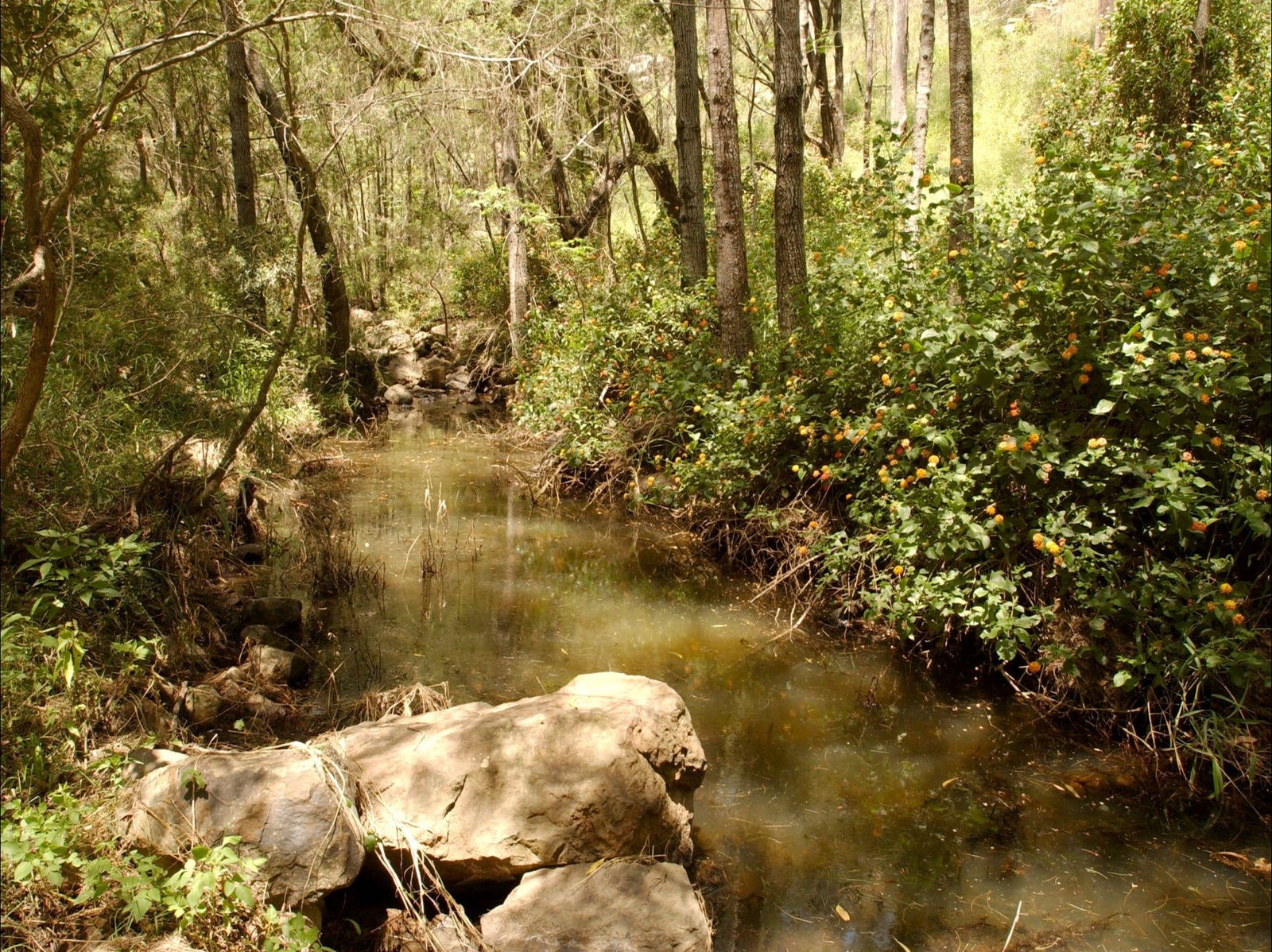  Accommodation Mount Tamborine