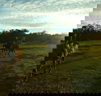 Scenic NSW Horse Riding Centre - Accommodation Mount Tamborine