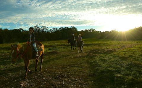 Scenic NSW Horse Riding Centre - Accommodation Mount Tamborine 0