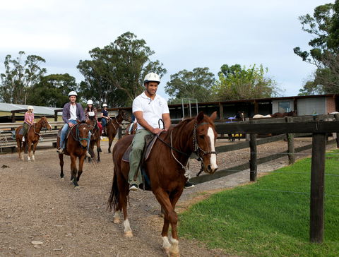 Scenic NSW Horse Riding Centre - Accommodation Mount Tamborine 1