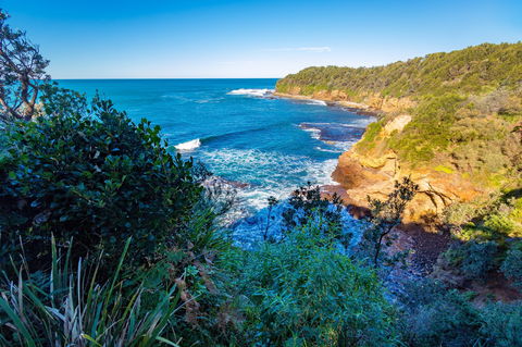 Shellgrit Beach (Red Head) - Accommodation Mount Tamborine 0