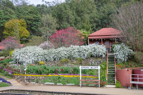 Spring Bluff Railway Station - Accommodation Mount Tamborine 1