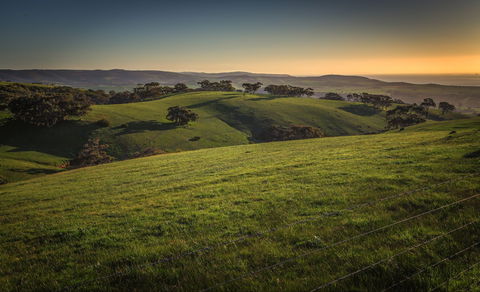 Starfish Hill Windfarm - Accommodation Mount Tamborine 1