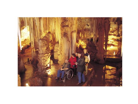 Tantanoola Caves - Accommodation Mount Tamborine 0