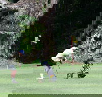 Teven Valley Golf Course - Accommodation Mount Tamborine