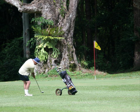 Teven Valley Golf Course - Accommodation Mount Tamborine 0