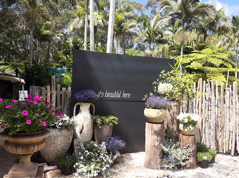 The Fernery At Diamond Waters - Accommodation Mount Tamborine 1