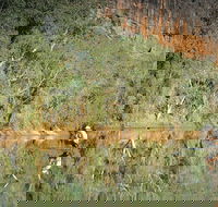Time Walk Windjana Gorge National Park - Accommodation Mount Tamborine