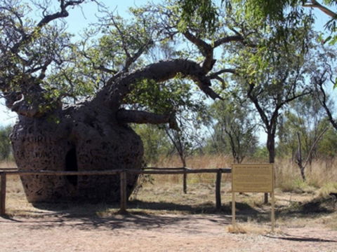Time Walk, Windjana Gorge National Park - Accommodation Mount Tamborine 2