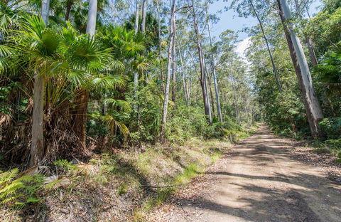 Tip To Tail Trail - Accommodation Mount Tamborine 0
