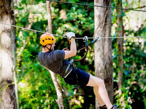TreeTop Challenge Currumbin Wildlife Sanctuary - Accommodation Mount Tamborine 0