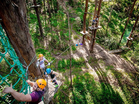 TreeTop Challenge Currumbin Wildlife Sanctuary - Accommodation Mount Tamborine 2