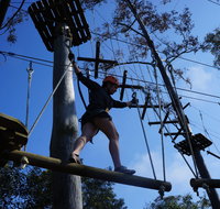 Trees Adventure Nowra Park - Accommodation Mount Tamborine