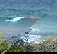 Trigg Island Beach - Accommodation Mount Tamborine