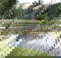 Tumut Wetlands - Accommodation Mount Tamborine