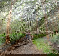 Venman Bushland National Park - Accommodation Mount Tamborine