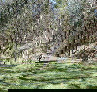 Wallaby Walking Track - Accommodation Mount Tamborine