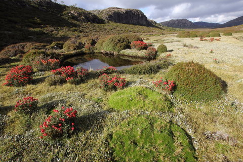 Walls Of Jerusalem National Park - Accommodation Mount Tamborine 1