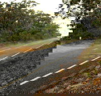 Warrah Trig cycling loop - Accommodation Mount Tamborine