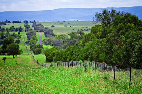 Wild Dog Barrier Fence - Accommodation Mount Tamborine 0