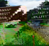 Yarraman - Accommodation Mount Tamborine