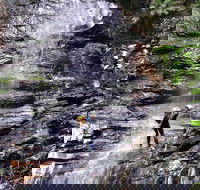 Full-Day Canyoning Experience at Stunning Empress Canyon - Accommodation Mount Tamborine
