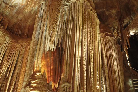 Jenolan Caves: Orient Cave Tour - Accommodation Mount Tamborine 0