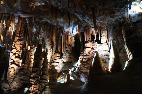 Jenolan Caves: Orient Cave Tour - Accommodation Mount Tamborine 2