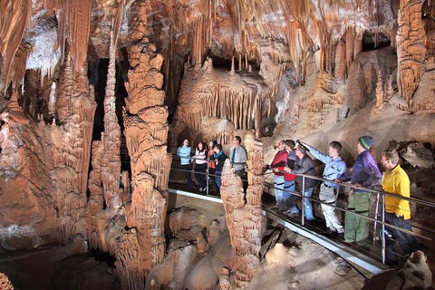 Jenolan Caves: Orient Cave Tour - Accommodation Mount Tamborine 1