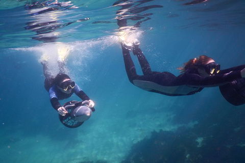 Small-Group Underwater Scooter Experience In Clovelly - Accommodation Mount Tamborine 0