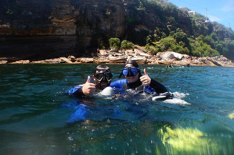 Small-Group Underwater Scooter Experience In Clovelly - Accommodation Mount Tamborine 6