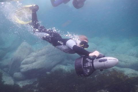 Small-Group Underwater Scooter Experience In Clovelly - Accommodation Mount Tamborine 7