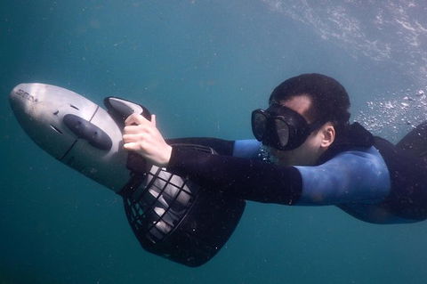 Small-Group Underwater Scooter Experience In Clovelly - Accommodation Mount Tamborine 3
