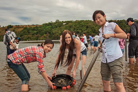 Catch A Crab Tour With Optional Seafood Lunch - Accommodation Mount Tamborine 6