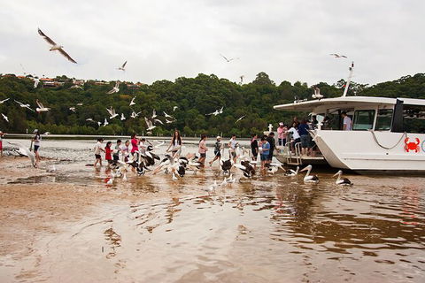 Catch A Crab Tour With Optional Seafood Lunch - Accommodation Mount Tamborine 1