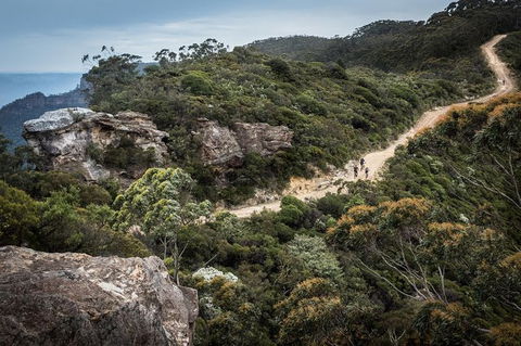 Blue Labyrinth Tour: Sydney Blue Mountains By E-Bike - Accommodation Mount Tamborine 5