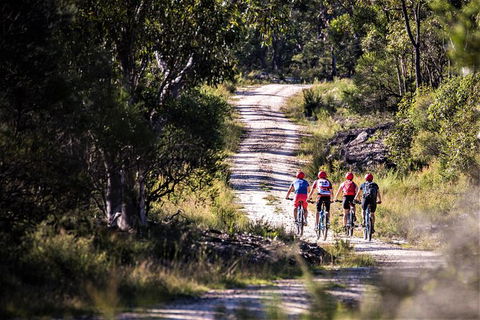 Blue Labyrinth Tour: Sydney Blue Mountains By E-Bike - Accommodation Mount Tamborine 6