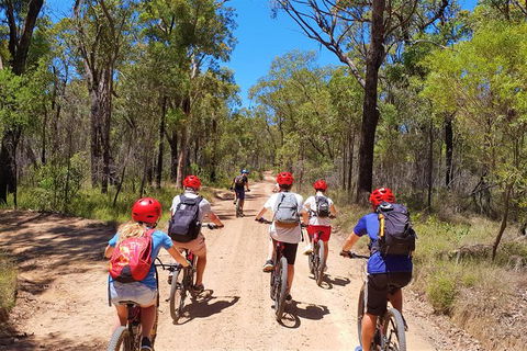 Blue Labyrinth Tour: Sydney Blue Mountains By E-Bike - Accommodation Mount Tamborine 1